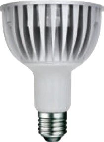 麗光科技股份有限公司